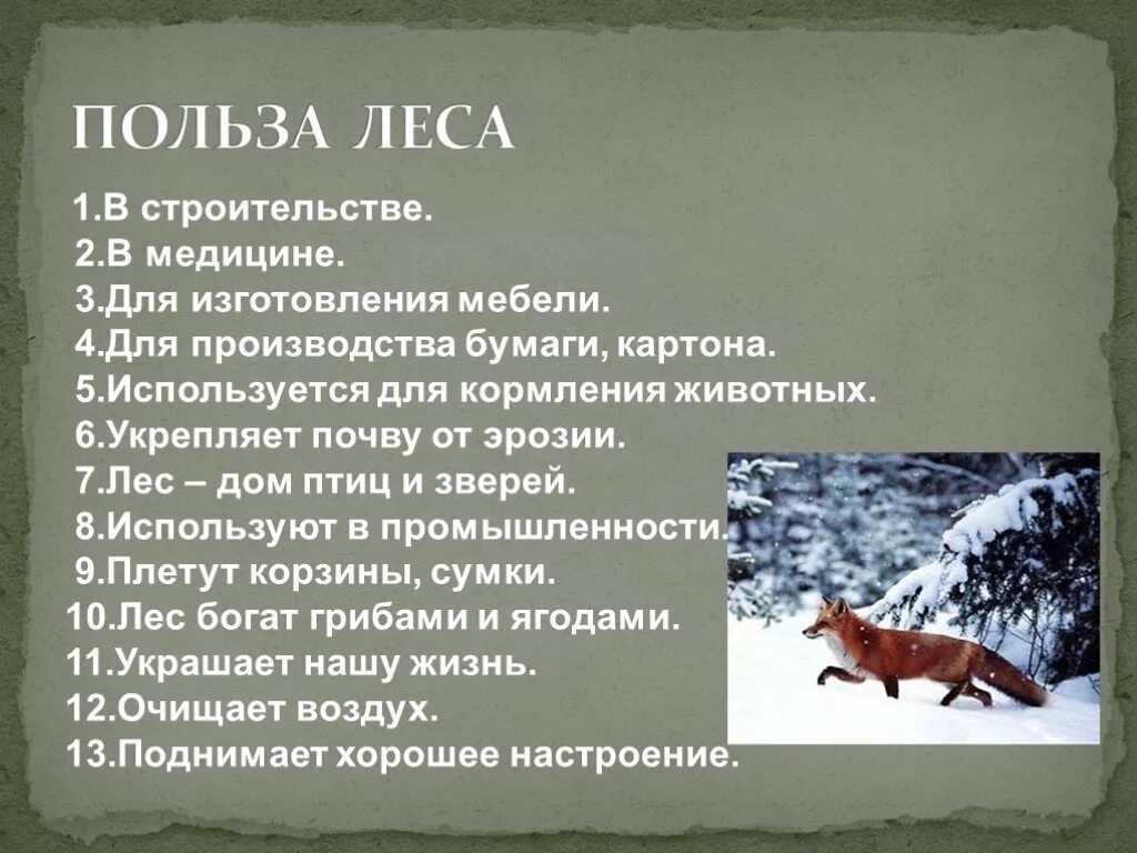 Лес презентация 4 класс плешаков. Презентация на тему жизнь леса. Сообщение о лесе. Доклад про лес. Доклад на тему жизнь леса.