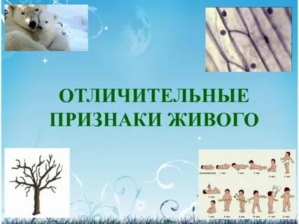 Биологические признаки 5 класс