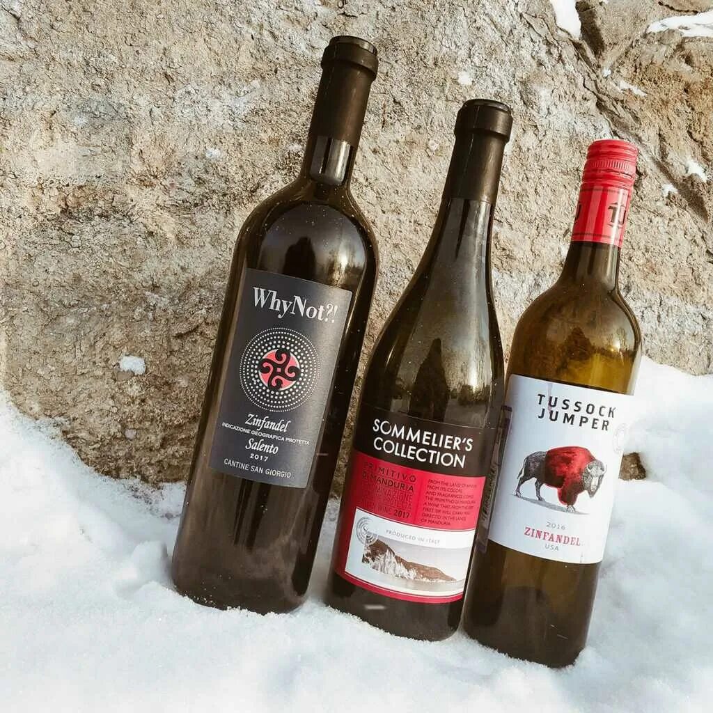 Sommelier collection. Зинфандель вино Пятерочка. Вино сомелье collection Зинфандель. Вино Тассок Джампер Зинфандель. Zinfandel вино Италия.