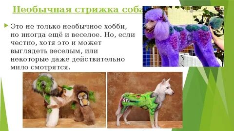 Мир увлечений обществознание