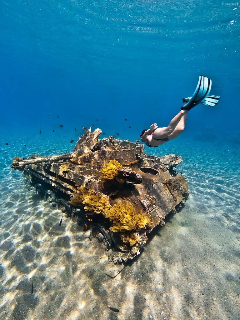 Иордания красное море. Подводный риф шарм-эль-шейх. иордания акаба море. красное море акаба. иордания красное море мертвое море.