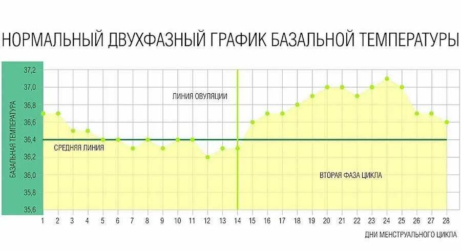 По утрам поднимается температура
