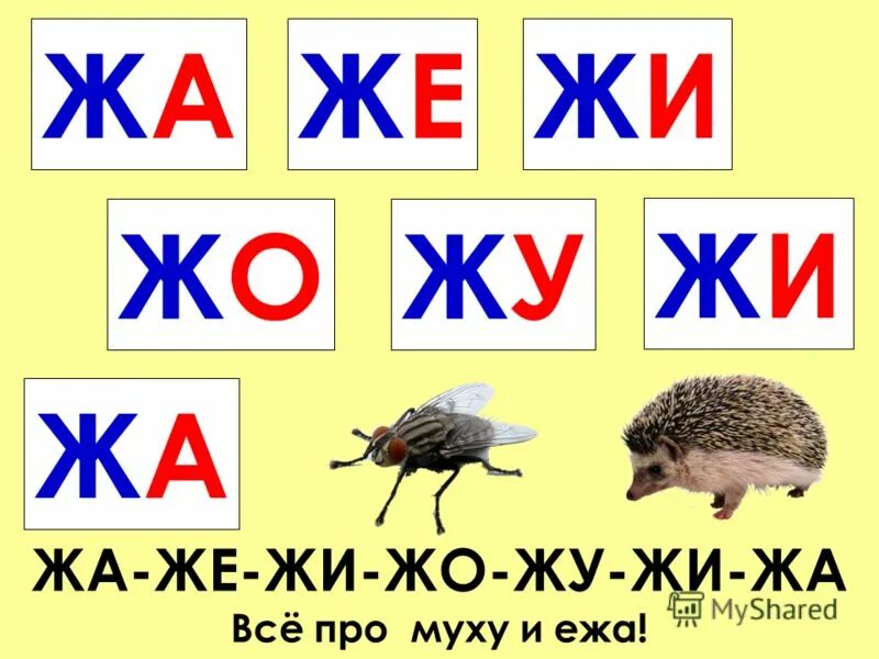 Начинается на ж заканчивается на ж. Начинается на ж заканчивается на ж. Слова на букву ж. Загадки на букву ж для дошкольников. Буква ж карточки для чтения.