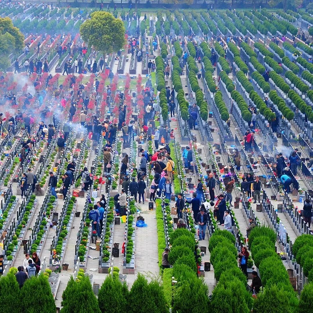 Цинмин праздник в Китае. Фестиваль Цинмин в Китае. Qingming Festival в Китае. Праздник чистого света "Цинмин" - Китай. День поминовения усопших в китае