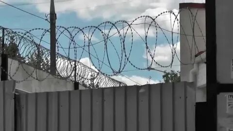 Слушать егоза