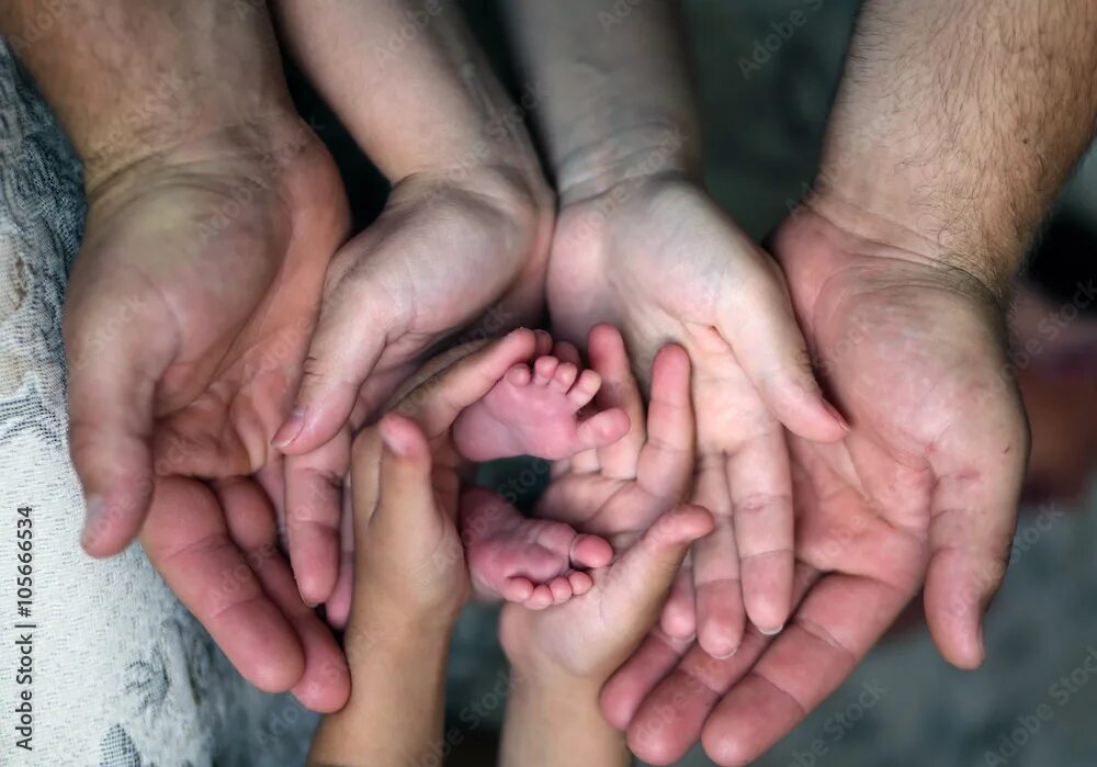 Рука отца и дочери. Семья руки. Семья на ладошке. Руки в руках семья. Руки родителей и детей.