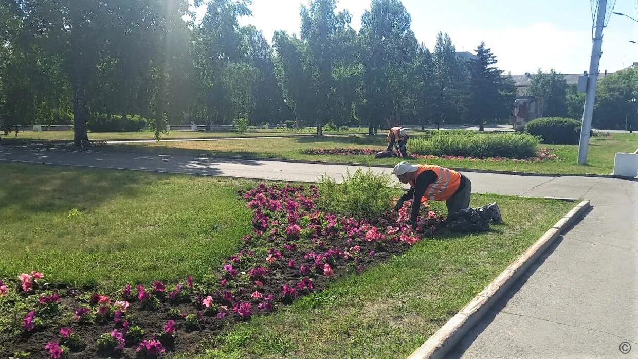 Цветники сахарова барнаул. Цветочные магазины город барнаул. Цветы на площади октября барнаул. Цветочный магазин барнаул. Озеленение барнаула.