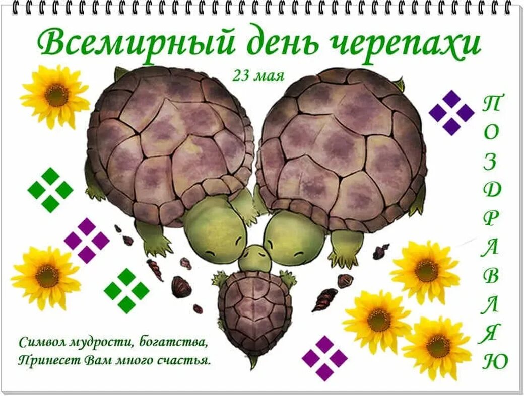 23 мая 2023 г. День черепахи. День черепахи открытки. Всемирный день черепашек. Открытка Всемирный день черепах.
