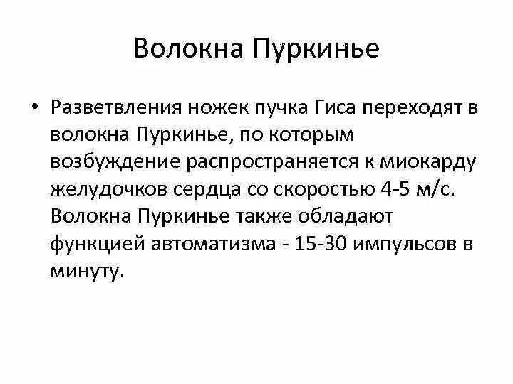 Пучок пуркинье. Волокна Пуркинье строение. Волокна Пуркинье скорость проведения возбуждения. Клетки Пуркинье в сердце функция. Гипервозбудимость волокон Пуркинье.