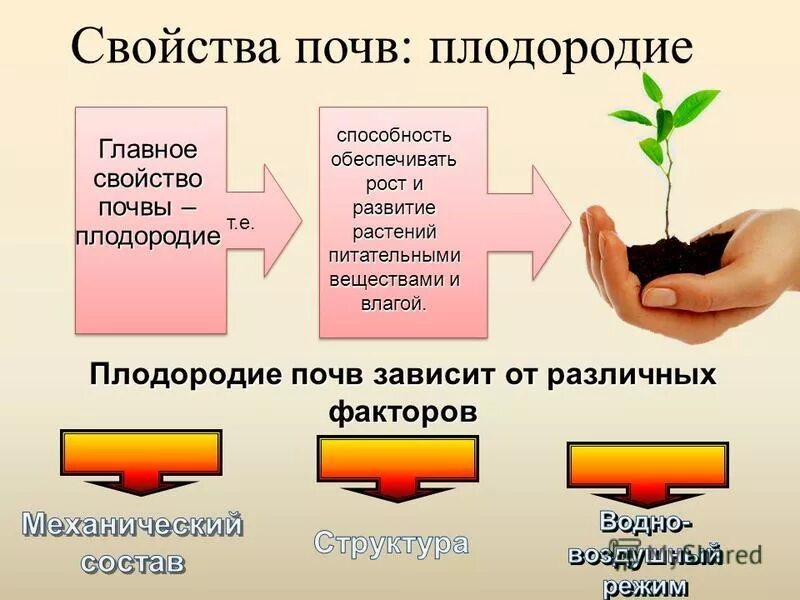 Плодородие это свойство почвы которое. Основные свойства почвы. Основное качества почевы. Основные свойства почьв.