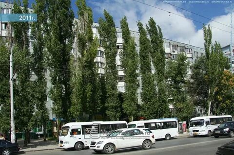 Высокая 15 ростов