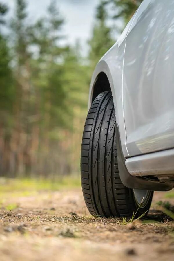 Nokian tyres лето. Nokian tyres лето. Шин нокиан хакка 10. Nokian tyres лето. Нокиан нордман sx2.
