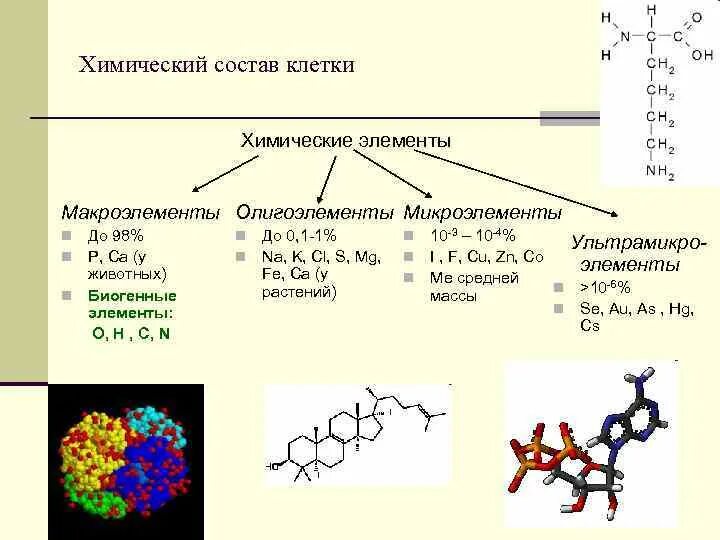 Клеточный компонент состав. Химический состав клетки схема. Макроэлементы 2) микроэлементы 3) ультрамикроэлементы. Группы химических элементов клетки