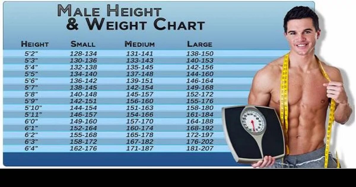 Height load. Weight Chart. Weight height Chart. Male height. Вес height cm in.