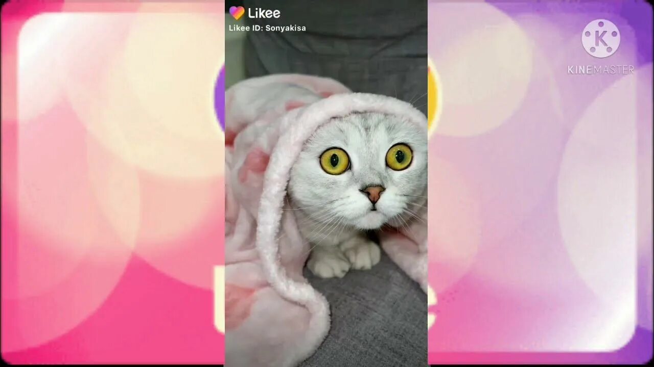 Крутые видео в лайк. Крутые видео в лайк. Крутые видео в лайк. Тик ток лайк. Лайк приложение.