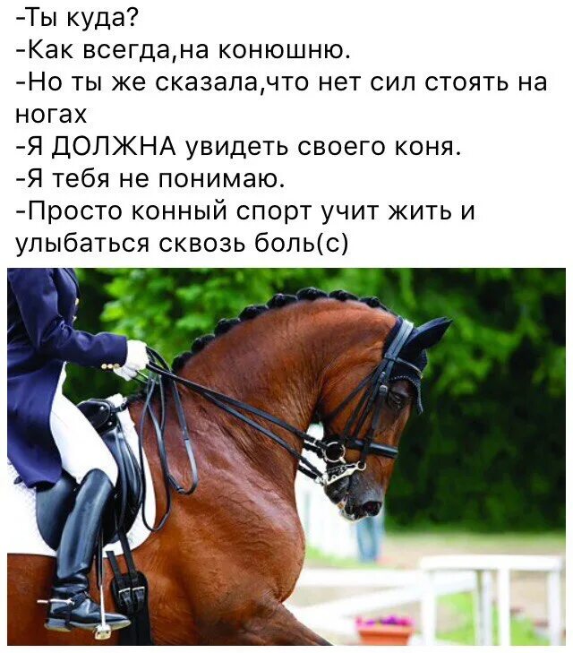 Кск пойдем
