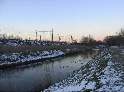 Река волковка петербург