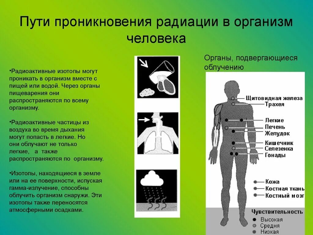 Поражающее действие проникающей радиации зависит от. Влияние радиационного излучения на организм. Воздействие радиации на человека. Какое влияние на организм оказывает проникающая радиация. Поражающие действия проникающей радиации.