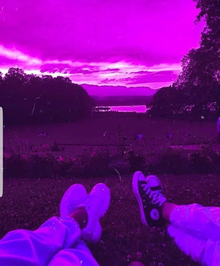 Purple vibes