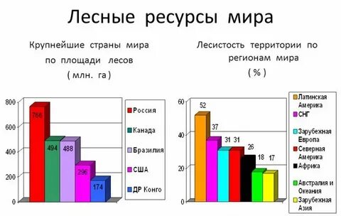 Какая страна 1 по лесам