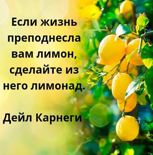 Если жизнь лимон лимонад. Если судьба преподносит тебе лимон сделай из него лимонад. Жизнь подкинула лимон. Высказывания про лимон. Лимон сделайте из него лимонад.