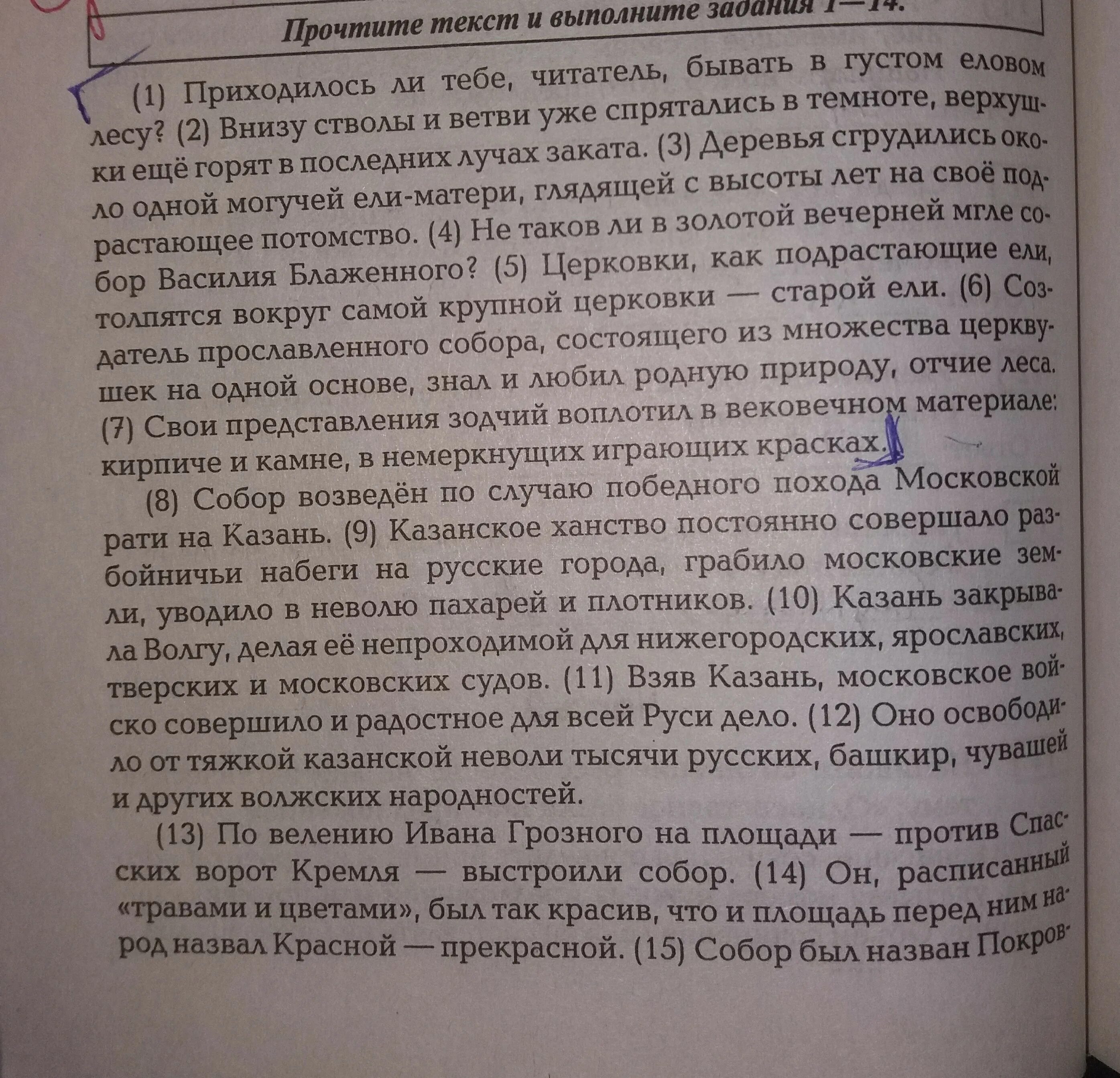 Как вы понимаете выражение гастрономический кругозор. Текст приходилось ли тебе читатель бывать в густом еловом лесу.