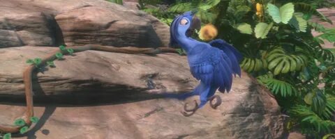 Rio 2 Roberto