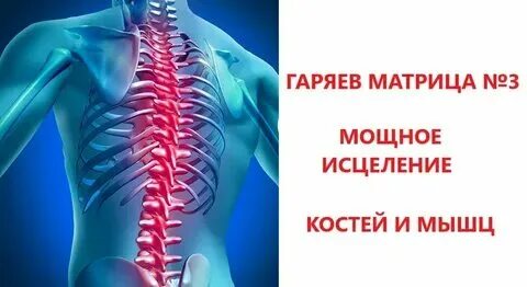 Матрица 3 мощное исцеление костей и мышц. Матрица 3 мощное исцеление костей и мышц