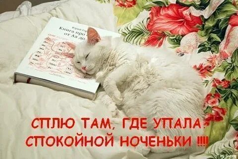 Спите спокойно ошибка не повторится