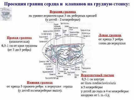 Проекция границ