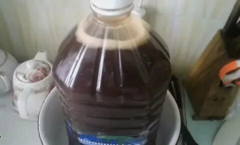 Рецепт березового кваса с хлебом