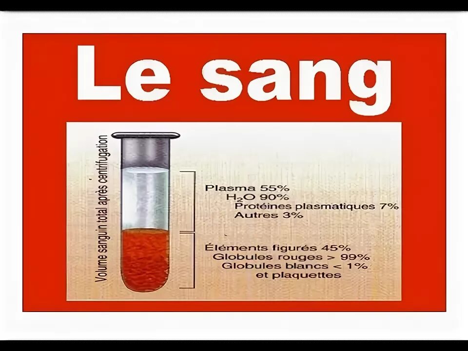 De sang. . Sang Assoclatlon.