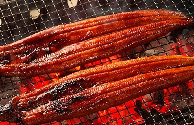 Как приготовить угря. Угорь жареный. мясо угря. угорь блюдо. угорь на гриле.