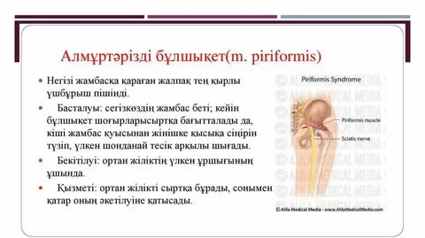 Тегін порно видео галереялар