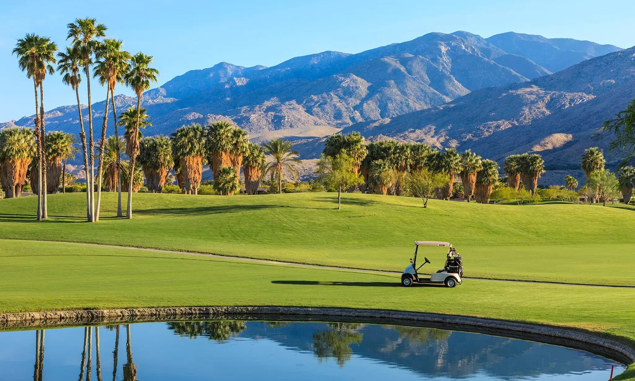 Palm springs pascal. Palm springs pascal. Палм-спрингс (калифорния). Палм спрингс город. Палм спрингс город.