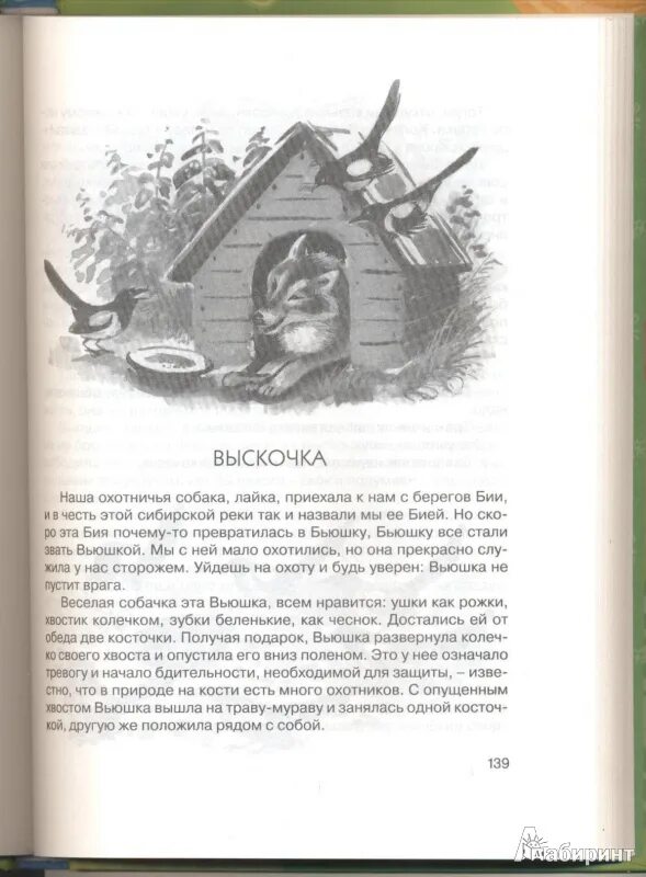 Как рассказчик относится к вьюшке и выскочке