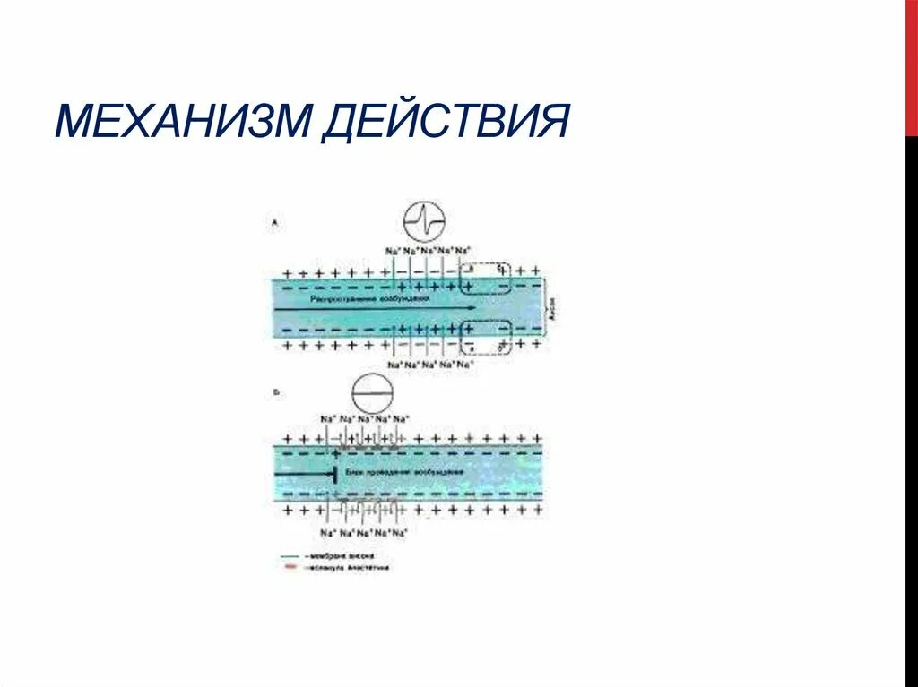 Механизм действия это что. Механизм действия это что. Механизм действия это что. Механизм действия это что. Механизм действия это что.