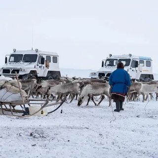 Рп5 мессояха на неделю