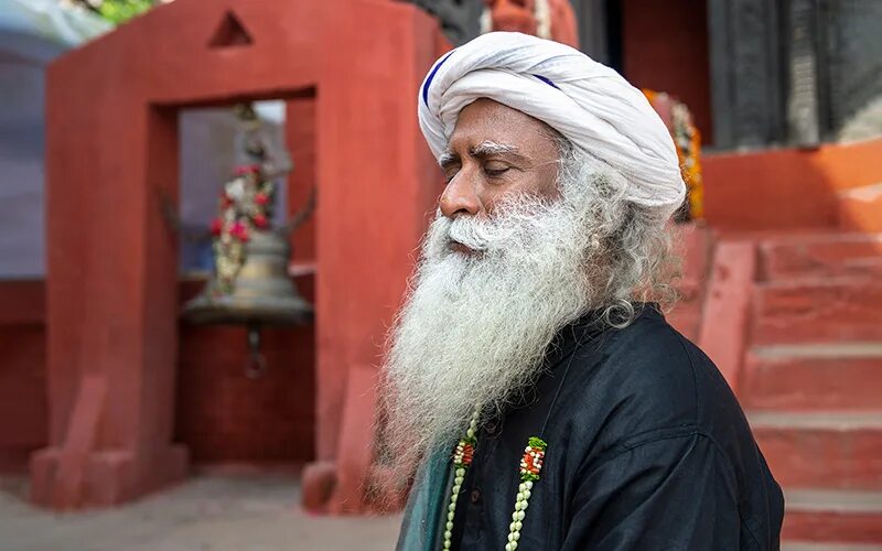 Васудев садхгуру. Радхе джагги садхгуру. Йогин садхгуру. Мистик садхгуру. Руки садхгуру.