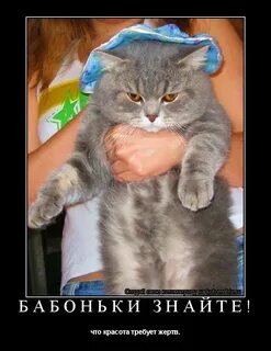 Красота требует жертв
