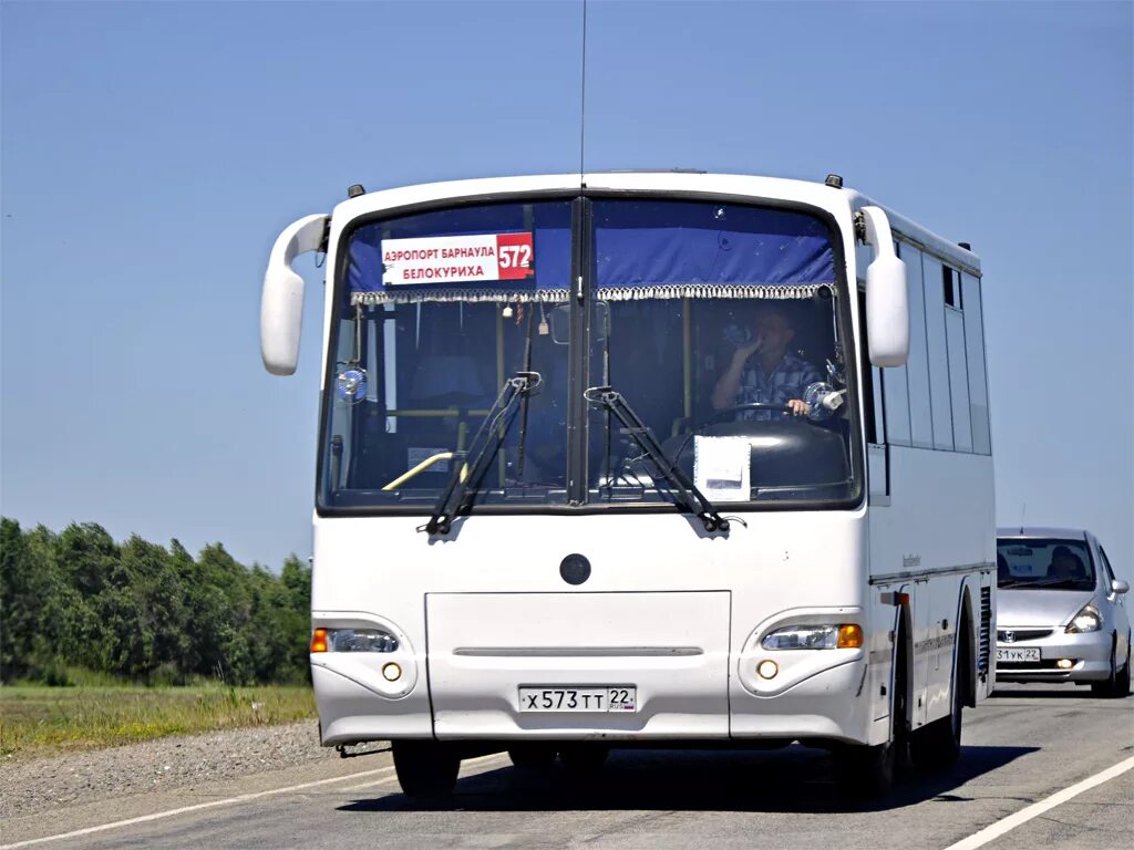 Бийск белокуриха автобус цена. КАВЗ 4235-32. КАВЗ 4235-61. 571 Барнаул - Белокуриха. Автобус Барнаул Белокуриха.
