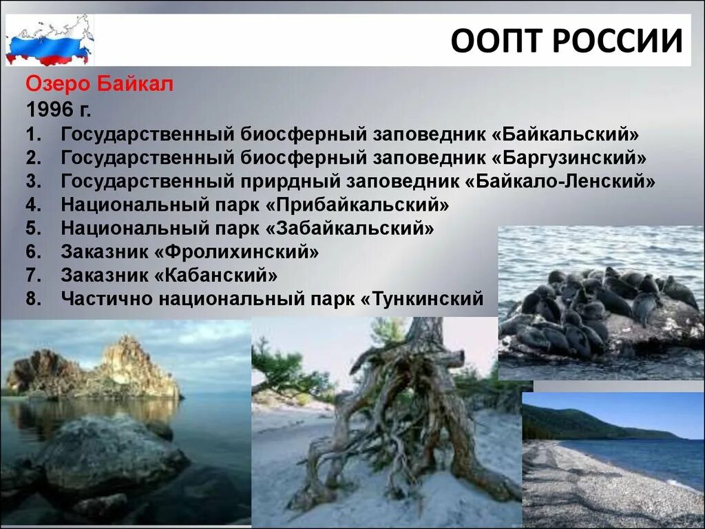 Доклад на тему особо охраняемые территории россии. Особо охраняемые природные территории России. ООПТ России. Особо охраняемые природные территории (ООПТ) России. Особые охраняемы территории Росси.