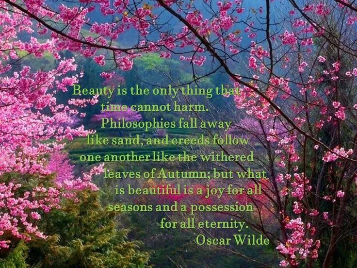 Твоих намерений. Намерение. Да даст тебе господь по сердцу. Цитаты с умыслом. Истинные намерения.