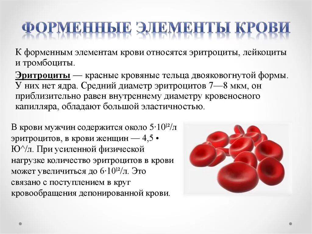 Повышение содержания эритроцитов. Форменные элементы крови эритроциты лейкоциты тромбоциты. Форменные элементы крови строение эритроциты. Кровь функции и элементы крови. Функция лейкоцитов свертывание крови.