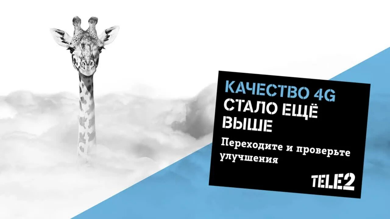 Градусы обложка альбома. Нюша 2011. Нюша фото из клипа выше. Группа градусы 2022. Она еще выше.