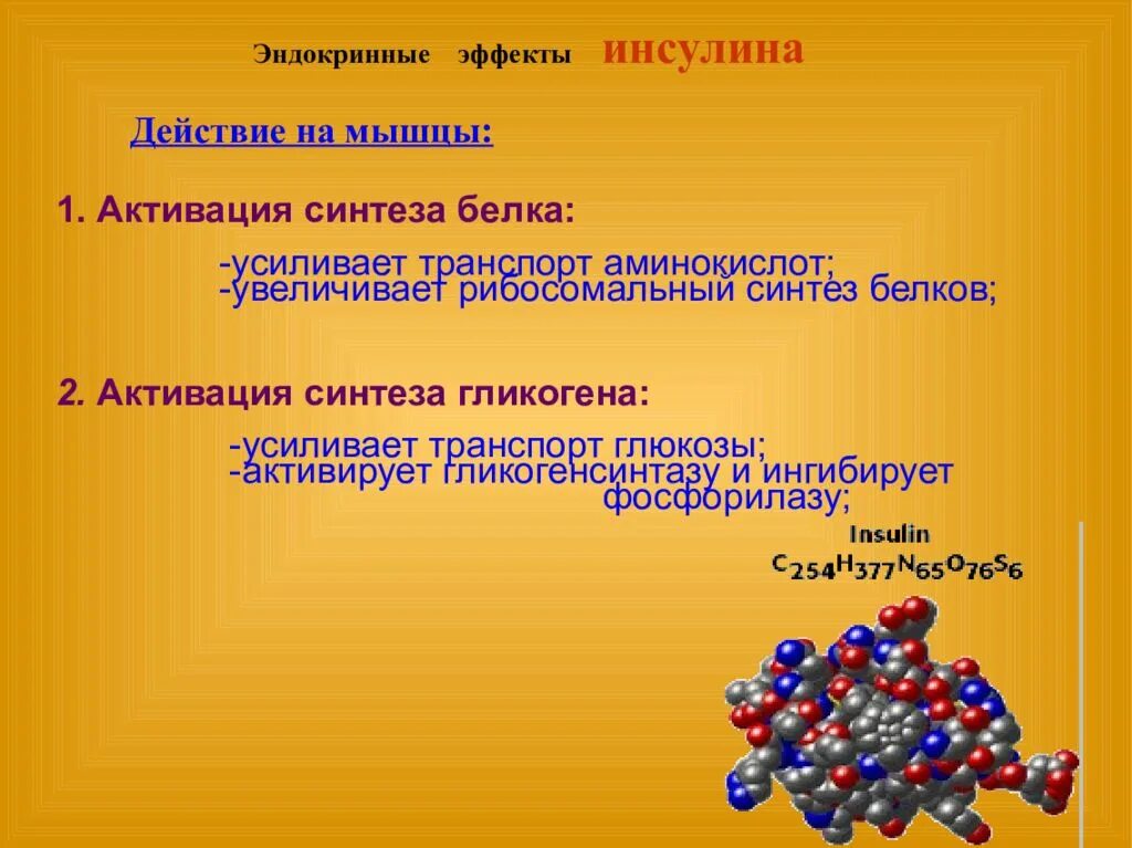 Вещество усиливающее действие. Препараты усиливающие Синтез белка. Эндокринное действие инсулина. Секреция это в фармакологии. Эндокринный эффект.