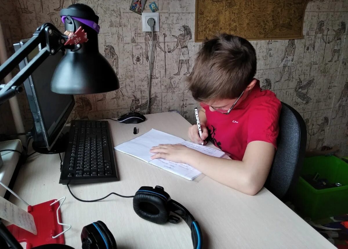 Дистанционный урок в школе. Видеоконференцсвязь в школе. Школьное образование дистанционно. Будет дистанционка в школах. Будет дистанционка в школах.