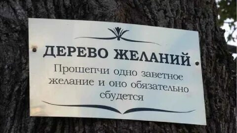 Загадать желание дереву