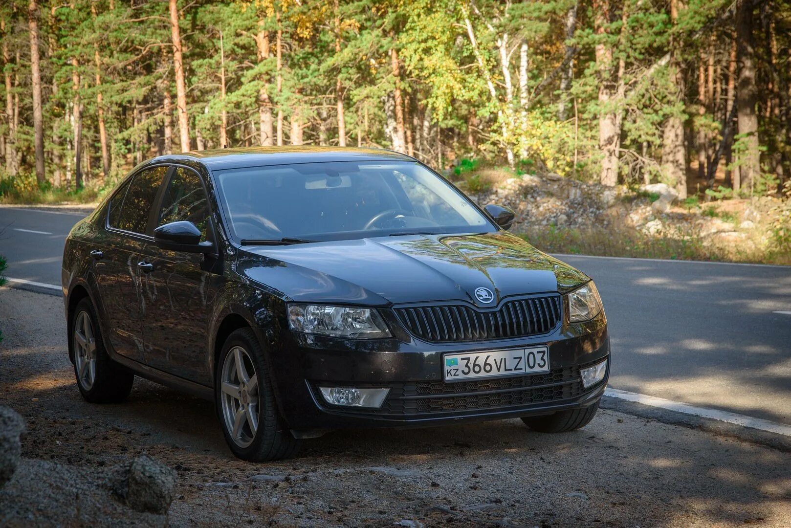 Омск купить шкоду. Skoda Octavia 2014. Skoda Octavia mk3.