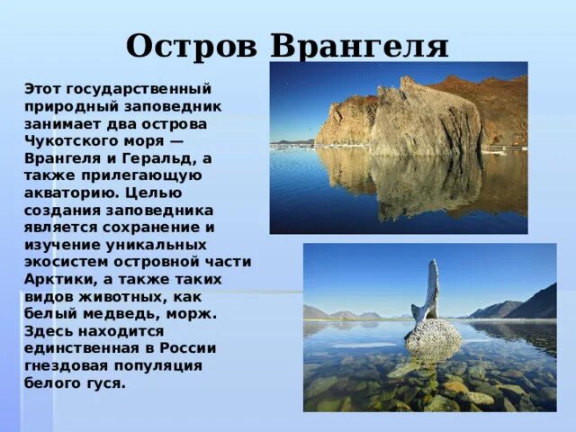 Где находится остров врангеля заповедник природная зона Заповедник остров Врангеля online presentation